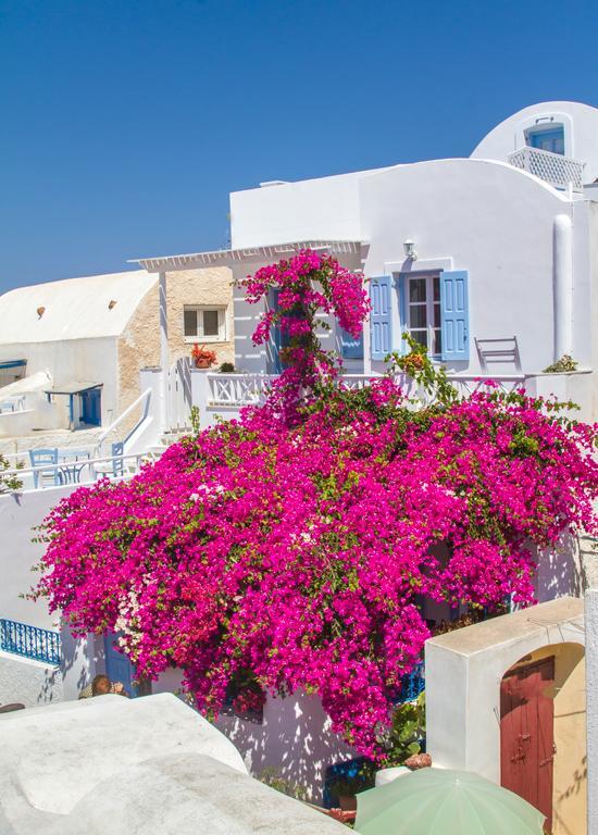 Evilio Houses Apartment Oia  Exterior photo